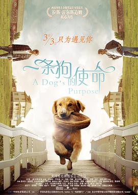 怡红院精品视频